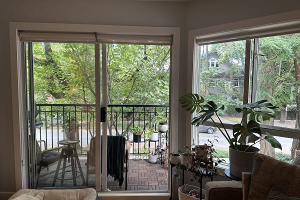 House sit in Vancouver, BC, Canada