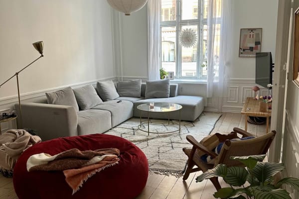 House sit in Copenhagen, Denmark