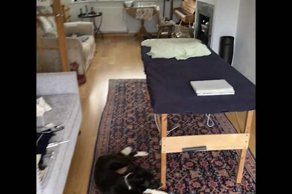 House sit in Guildford, United Kingdom