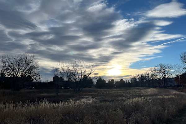 House sit in Lakewood, CO, US