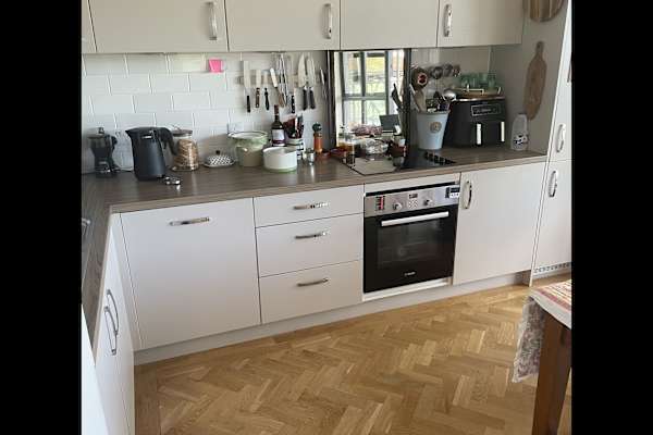 House sit in Bristol, United Kingdom