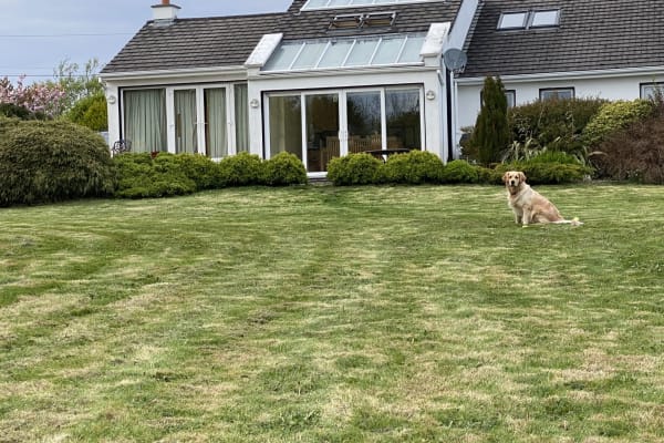 House sit in Spiddal, Ireland