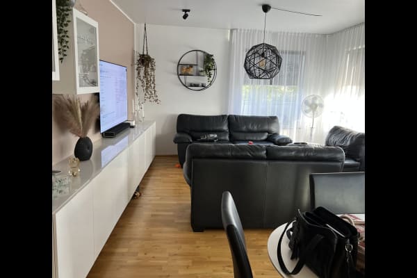 House sit in Reykjavík, Iceland