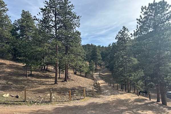 House sit in Golden, CO, US