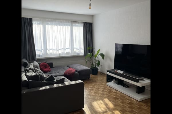 House sit in Zürich, Switzerland