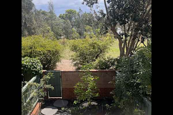 House sit in Sydney, NSW, Australia