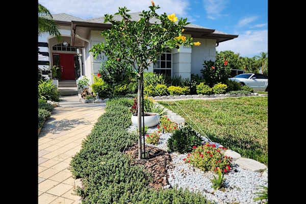 House sit in Clearwater, FL, US