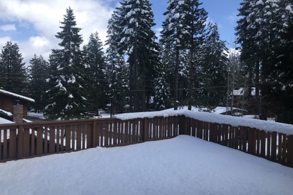 House sit in Tahoe City, CA, US