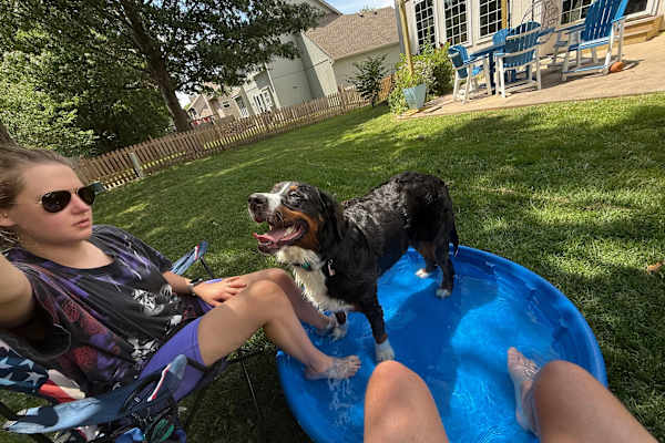 House sit in Lee's Summit, MO, US