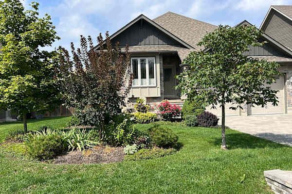 House sit in Collingwood, ON, Canada