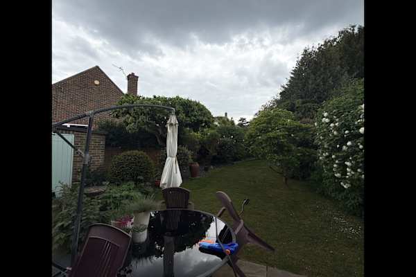 House sit in Epsom, United Kingdom