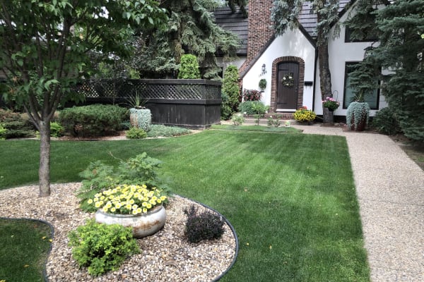 House sit in Edmonton, AB, Canada