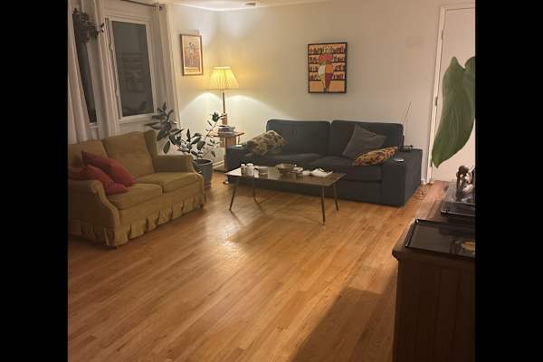 House sit in Longmont, CO, US