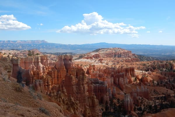 House Sitting In Cedar City Utah Us Trustedhousesitters Com