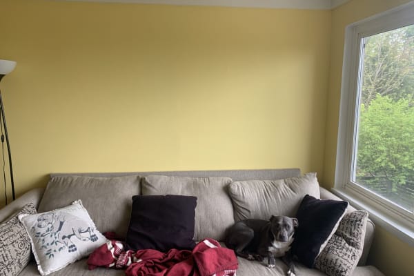 House sit in Seattle, WA, US