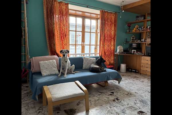 House sit in Neusiedl am See, Austria