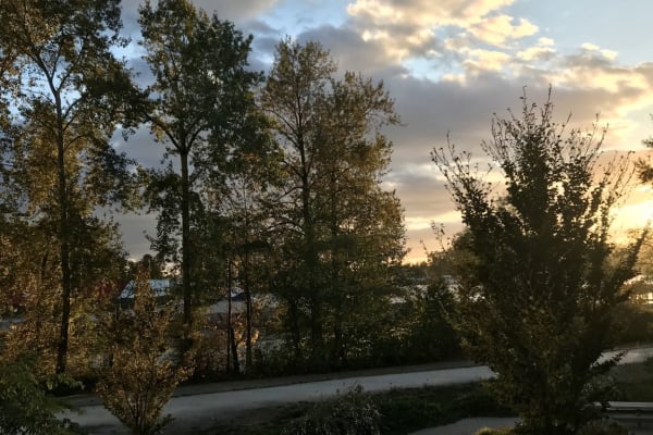 House sit in Vancouver, BC, Canada