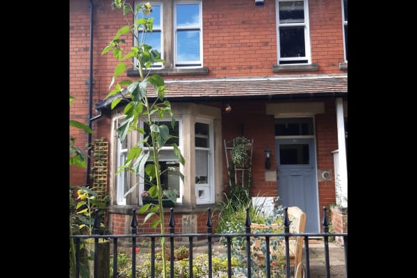 House sit in Newcastle upon Tyne, United Kingdom