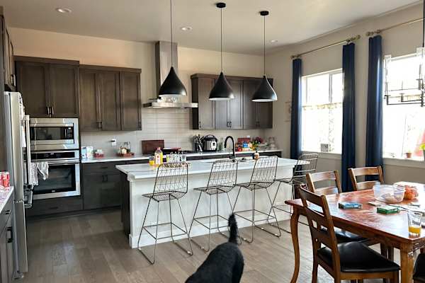 House sit in Fort Collins, CO, US