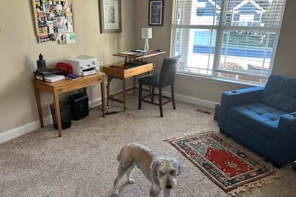 House sit in Chattanooga, TN, US
