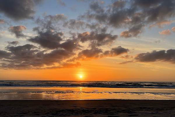 House sit in Saint Augustine, FL, US