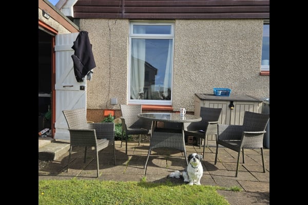 House sit in Carluke, United Kingdom