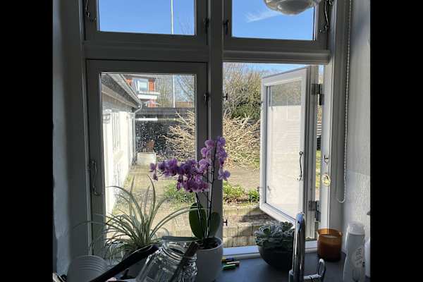 House sit in Brønderslev, Denmark