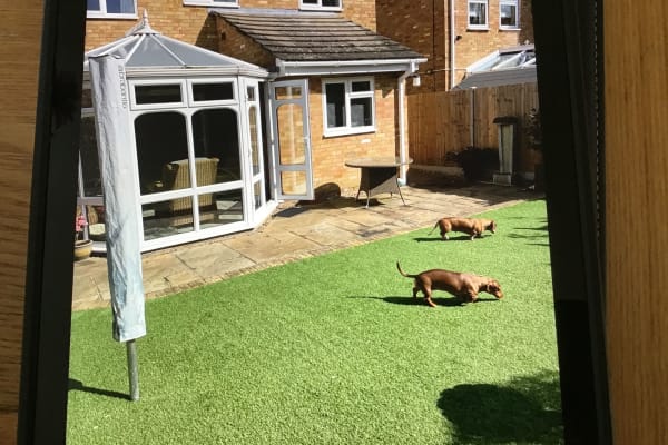 House sit in Gillingham, United Kingdom