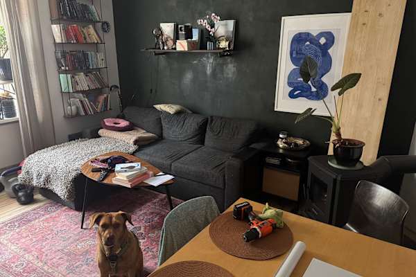 House sit in Copenhagen, Denmark