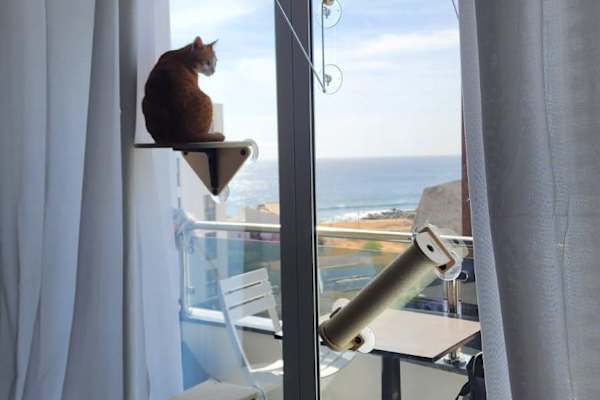 House sit in Praia, Cape Verde