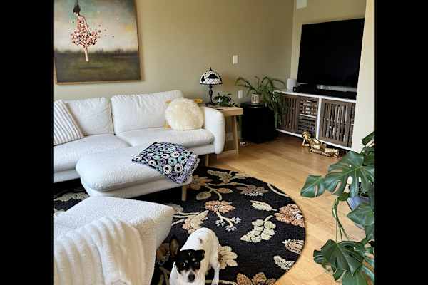 House sit in Port Townsend, WA, US