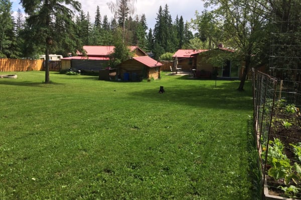 House sit in Edmonton, AB, Canada