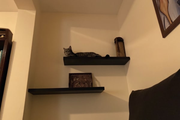 House sit in Thessaloníki, Greece