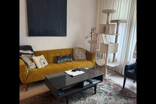 House sit in Haarlem, Netherlands