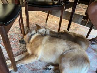 The girls having their normal nap together.