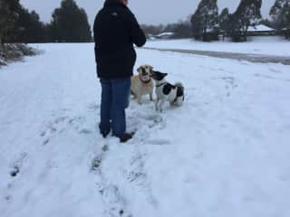 Tom, Sid and Buddy (Orange NSW)