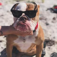 She’s very chill! And loves the beach