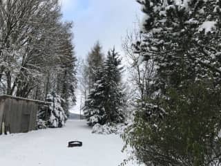Garden in winter