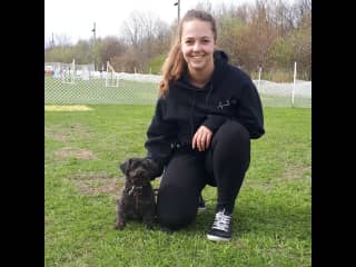 Maya 12 years old doing some dog agility.