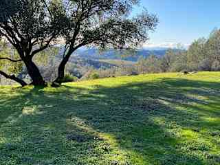 View from front yard
