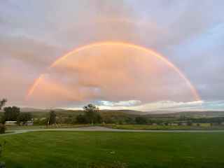 view across the street after a summer rain