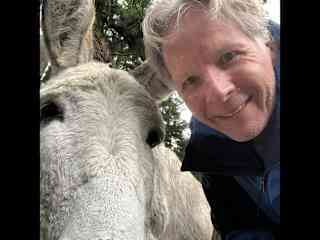Donkey love on Vashon Island.