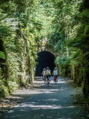 Life on the Waterford Greenway
