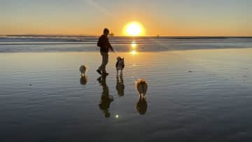 Typical sunset at nearby Huntington Dog Beach