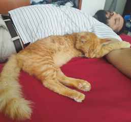 Oliver really likes to sleep with someone