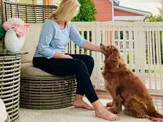 Porch time with Annabelle (yes, that was her name too!) in Rock Hill, South Carolina, USA. September 2024