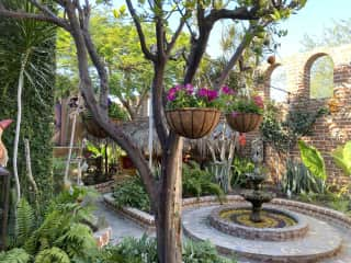 Garden and fountain.  Plenty of outdoor seating under palapa roofs.