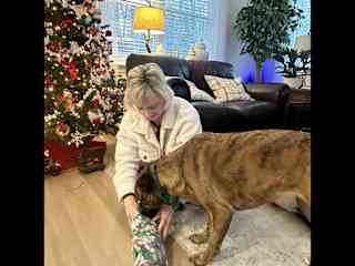 Christmas morning with Bear