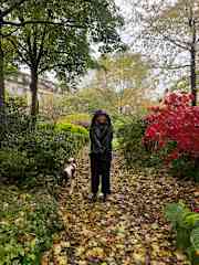 Puppy walks no matter the weather.