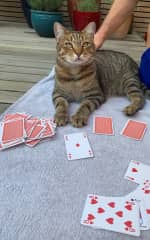 Cheating at cards